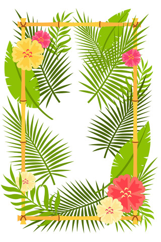 棕榈叶热带植物树叶边框花素材